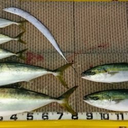 火遠理丸(ほおりまる) 釣果