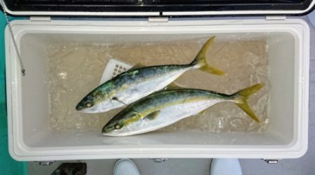火遠理丸(ほおりまる) 釣果