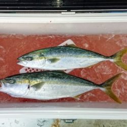 火遠理丸(ほおりまる) 釣果