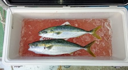 火遠理丸(ほおりまる) 釣果