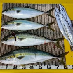 火遠理丸(ほおりまる) 釣果