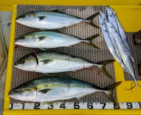 火遠理丸(ほおりまる) 釣果