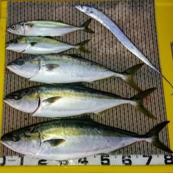 火遠理丸(ほおりまる) 釣果