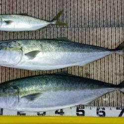 火遠理丸（ほおりまる） 釣果