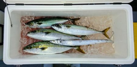 火遠理丸（ほおりまる） 釣果