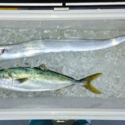 火遠理丸（ほおりまる） 釣果