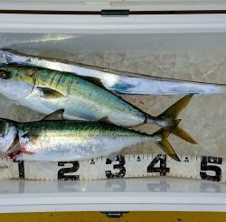 火遠理丸（ほおりまる） 釣果