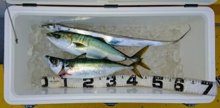 火遠理丸（ほおりまる） 釣果