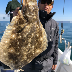 Magic(マジック) 釣果