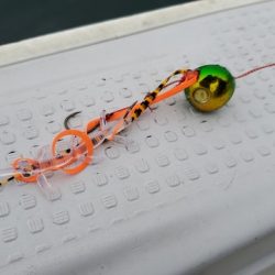 遊漁船 ニライカナイ 釣果