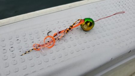 遊漁船 ニライカナイ 釣果