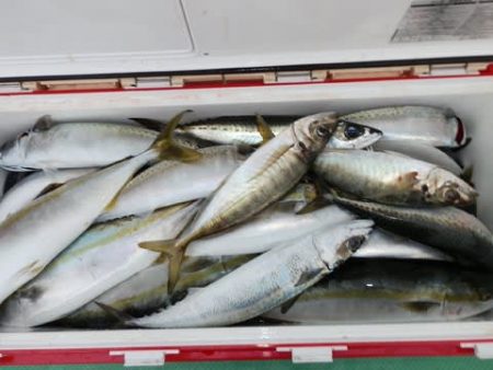 第二むつ漁丸 釣果