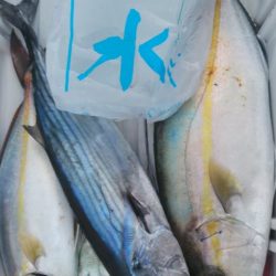 遊漁船 新鋭丸 釣果