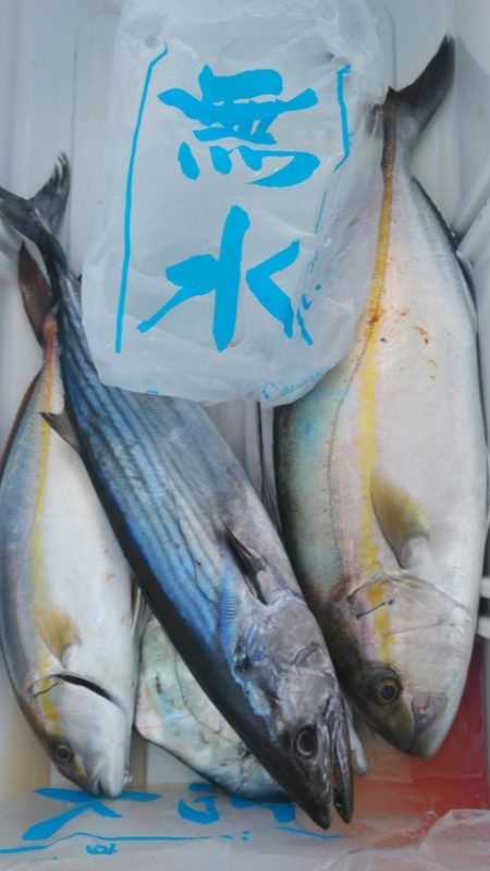 遊漁船 新鋭丸 釣果