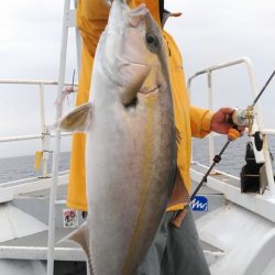 遊漁船 新鋭丸 釣果