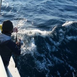 第五慶門丸 釣果