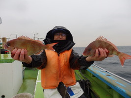 久里浜黒川本家 釣果