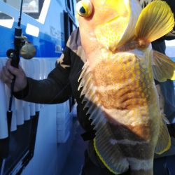 遊漁船 新鋭丸 釣果