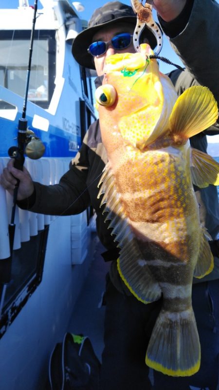 遊漁船 新鋭丸 釣果