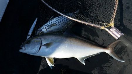 第五慶門丸 釣果