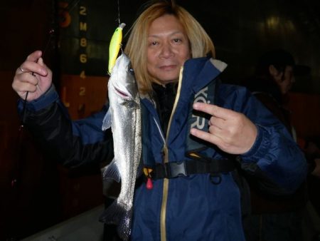 TOPGUN名古屋 釣果