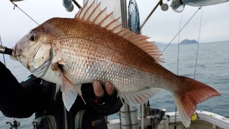 遊漁船　ニライカナイ 釣果