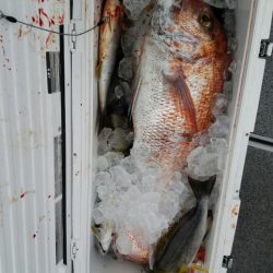 第二大福丸 釣果