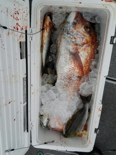 第二大福丸 釣果