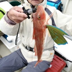 遊漁船　ニライカナイ 釣果