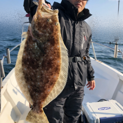 Magic（マジック） 釣果