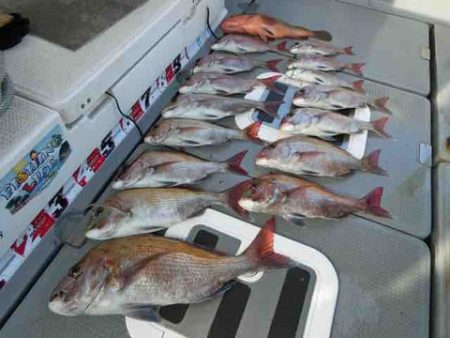 遊漁船 セトマリン 釣果