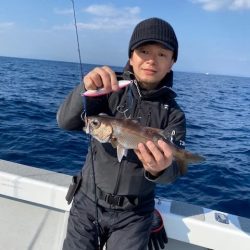へいみつ丸 釣果