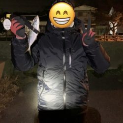 宵姫でアジの自己記録更新！【がまかつ LUXXE宵姫　インプレッション】