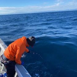 へいみつ丸 釣果