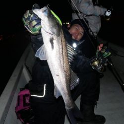 TOPGUN名古屋 釣果