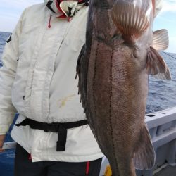 遊漁船 新鋭丸 釣果