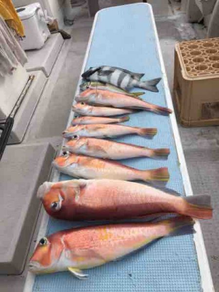 龍宮丸 釣果
