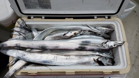 遊漁船 ニライカナイ 釣果