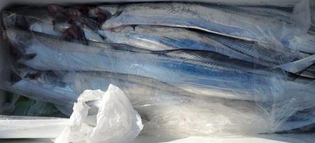 遊漁船 ニライカナイ 釣果