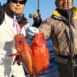 遊漁船 新鋭丸 釣果