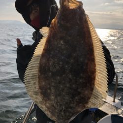 Magic（マジック） 釣果