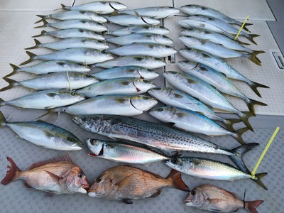ミタチ丸 釣果