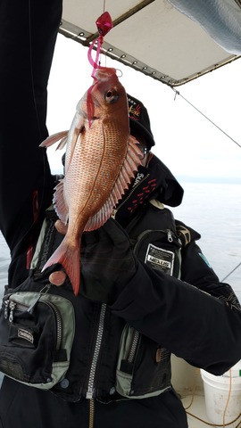 遊漁船　ニライカナイ 釣果