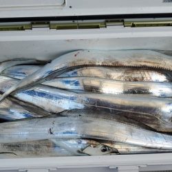 遊漁船 ニライカナイ 釣果