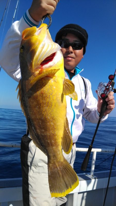 遊漁船 新鋭丸 釣果