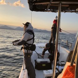 Magic（マジック） 釣果