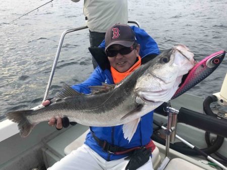 Ｒｕｓｈ（ラッシュ） 釣果