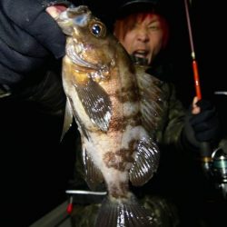 TOPGUN名古屋 釣果