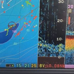 遊漁船 ニライカナイ 釣果