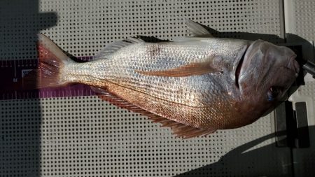 遊漁船 ニライカナイ 釣果